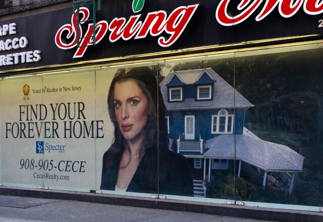 is-julia-fox-getting-into-new-jersey-real-estate-realtors-fall-for-fake-billboard-2, 6393813,